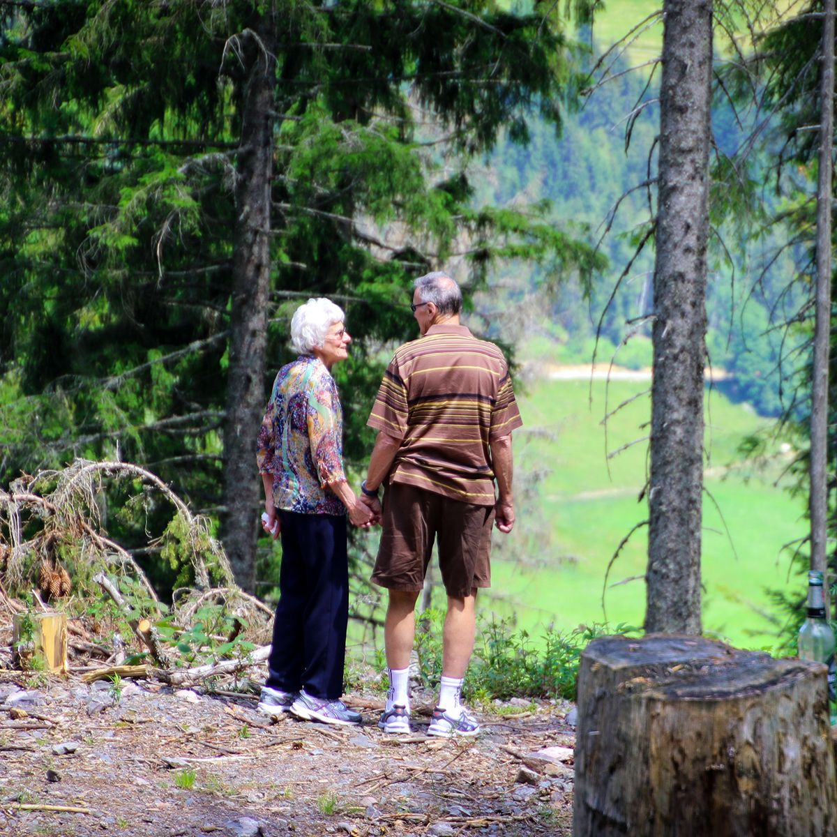 Una coppia di anziani si tiene per mano in un bosco in montagna